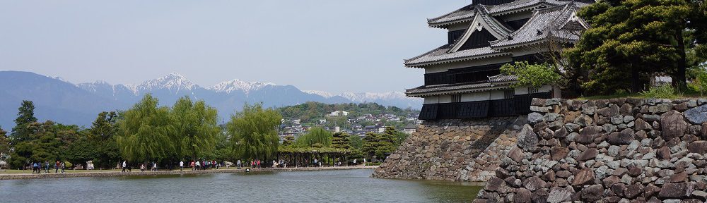 西南シルクロードは密林に消える 高野秀行 笹帽子の樹