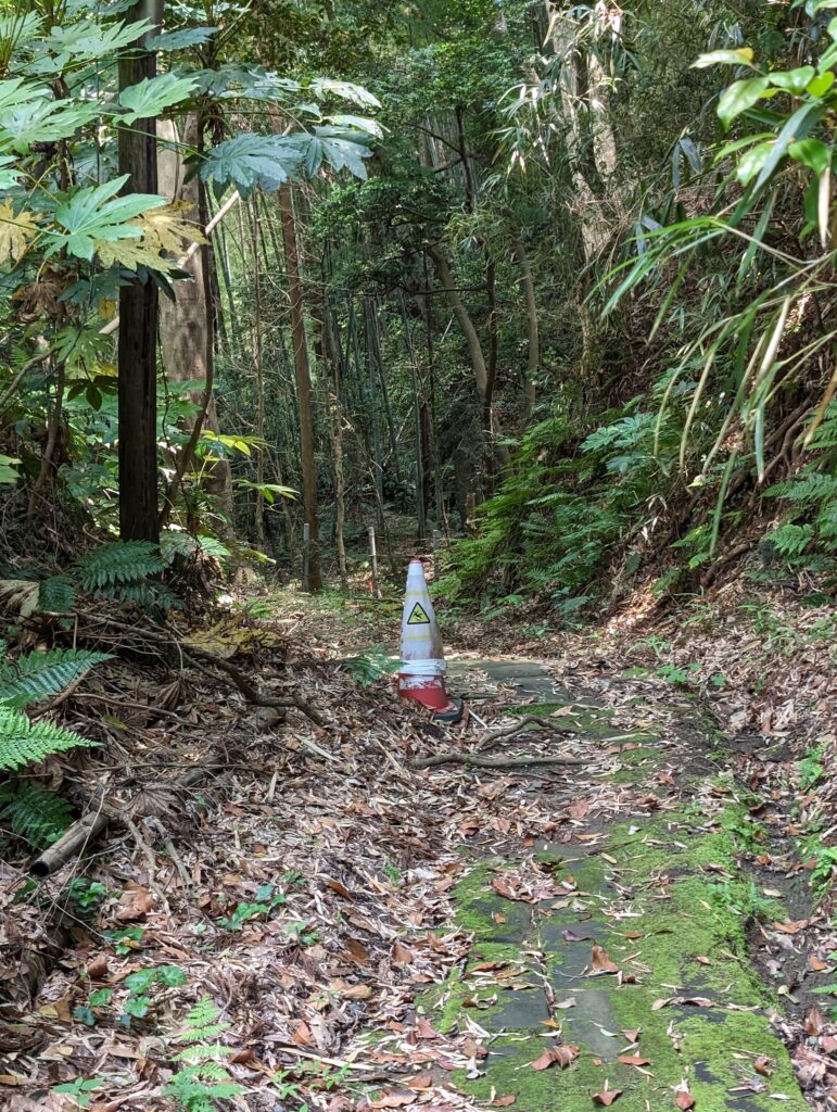 森に入っていく下り坂の道の手前に、赤いパイロンにスリップ注意の警告標識のアイコンがついたものが置いてある