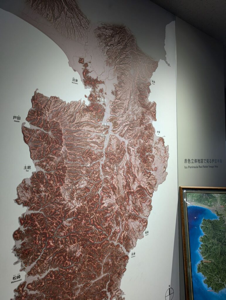 赤色立体地図で見る伊豆半島の展示の写真